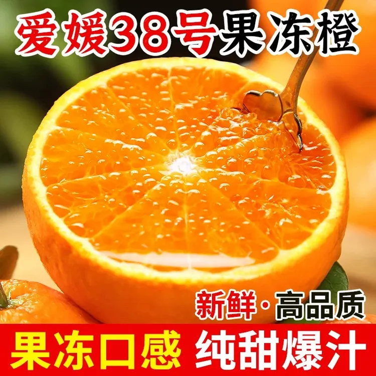 正宗爱媛38号果冻橙新鲜现摘皮薄多汁甜柑橘橙子产地直发