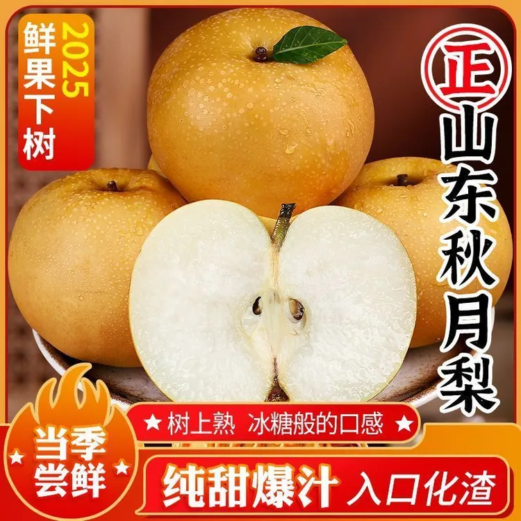（阿姨专属升级头茬秋月梨）正宗烟台头茬秋月梨脆甜多汁新鲜批发