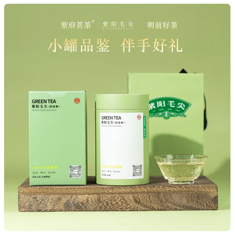 紫阳毛尖2025春茶｜一级毛尖罐装60克伴手礼 品鉴装