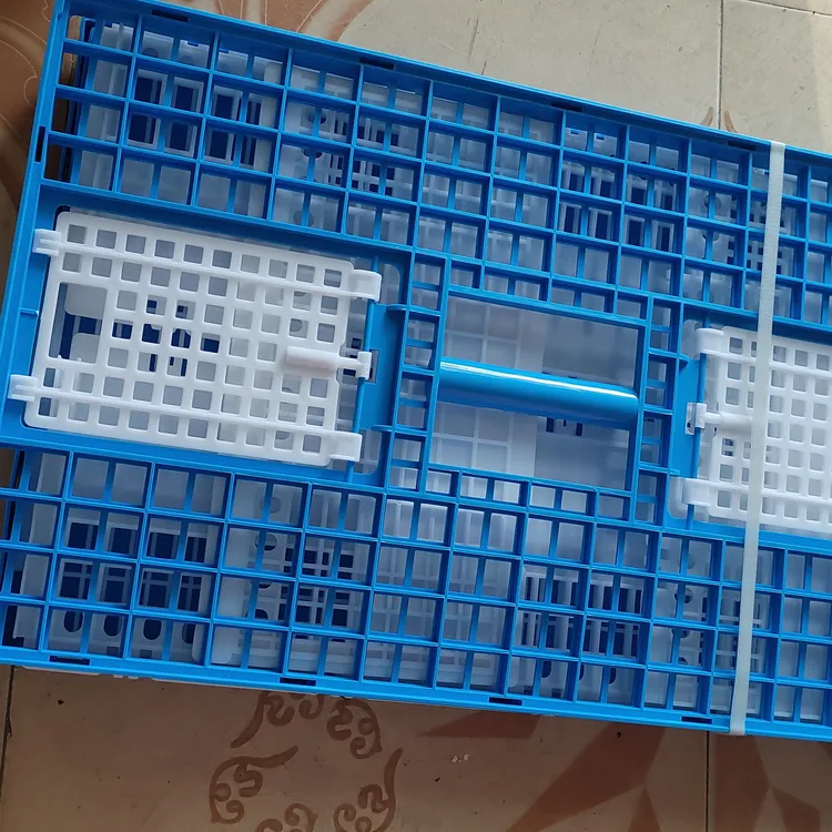 蓝白塑料拼装鸽子放飞笼训放笼70*42*24