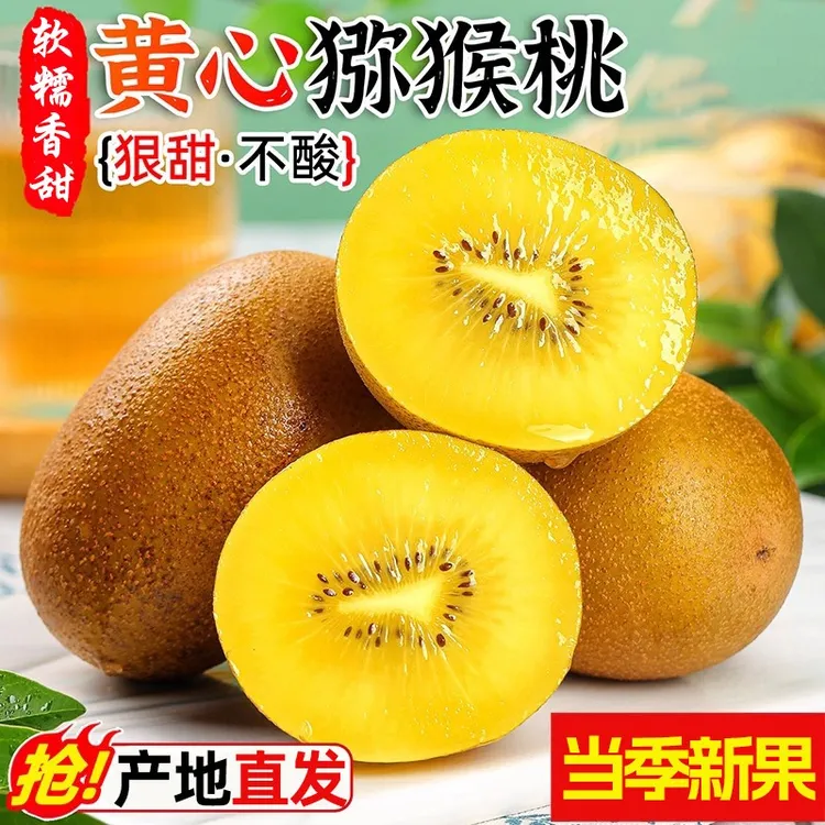 【直播专享】金果黄心猕猴桃当季新鲜水果猕猴桃大果盒装顺丰包邮