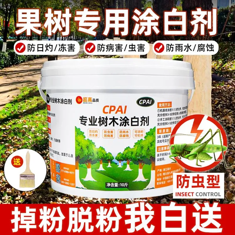 果树树木涂白剂防虫防冻杀菌树干盆景过冬保护白灰冬季石灰粉刷树