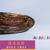 【王者ak蚌】（不保单珠） 可diy可定制饰品