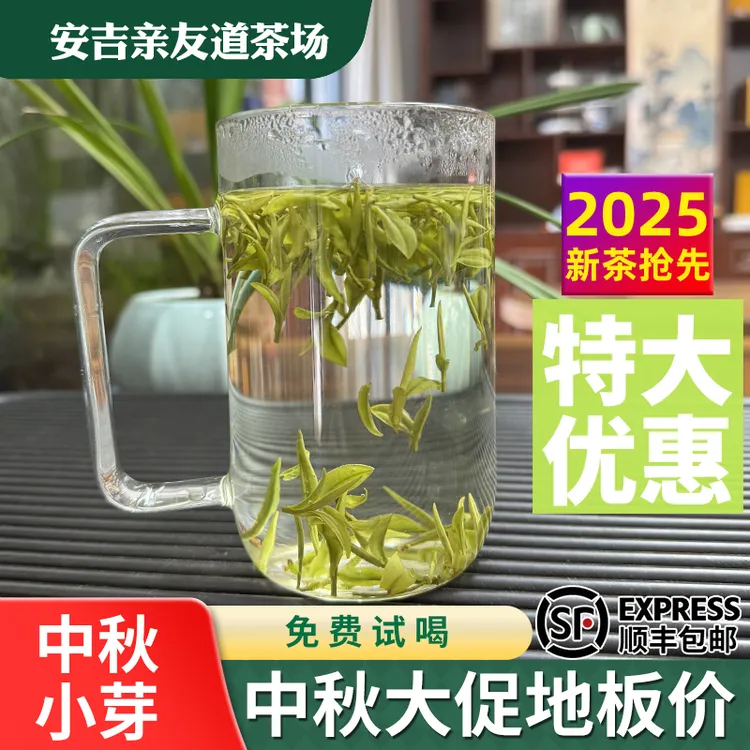 【中秋小芽】高性价比 2025新茶浙江安吉本地白茶