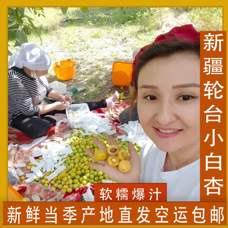 新疆轮台小白杏新鲜当季爆汁产地直发空运包邮