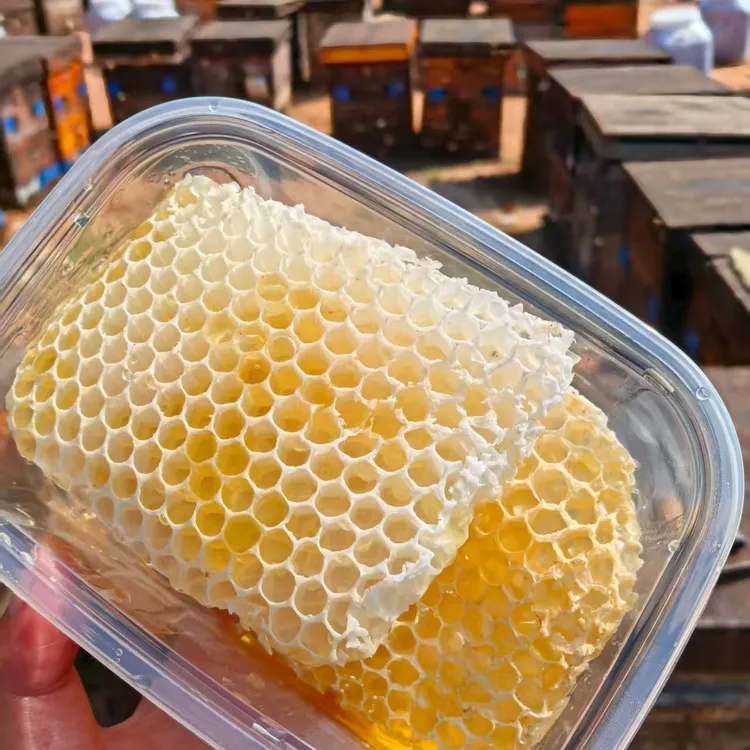 (少蜜版）蜂巢蜜  天然蜂巢胚  蜂巢胚 蜂巢脾 蜂巢  坠蜜脾  