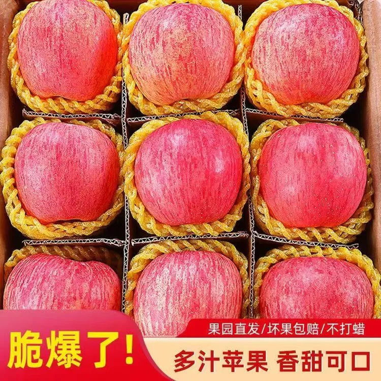 【买5斤送5斤】山东临沂红富士大苹果脆甜多汁新鲜（带箱9-10斤）