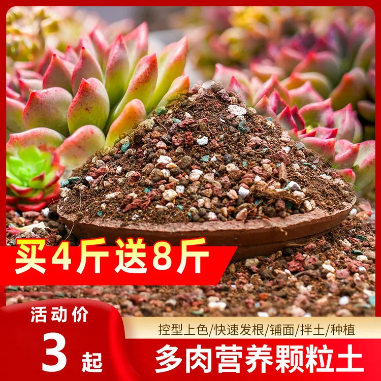 【买四斤送八斤】颗粒土多肉颗粒营养土疏松透气种植土多肉植物专用