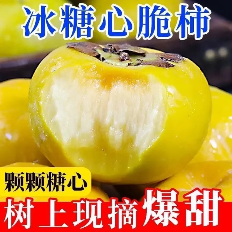 正宗甜脆柿子新鲜云南头茬巧克力脆柿子水果蜜柿无核应季整箱批发