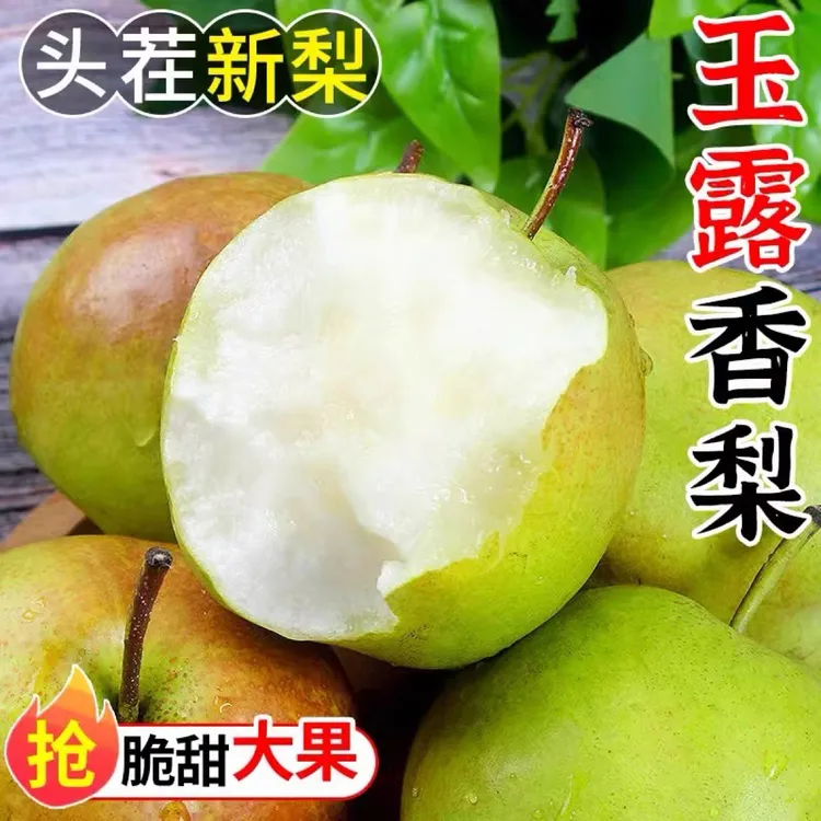 正宗山西玉露香梨应季水果薄皮脆甜多汁孕妇水果整箱批发酥梨包邮