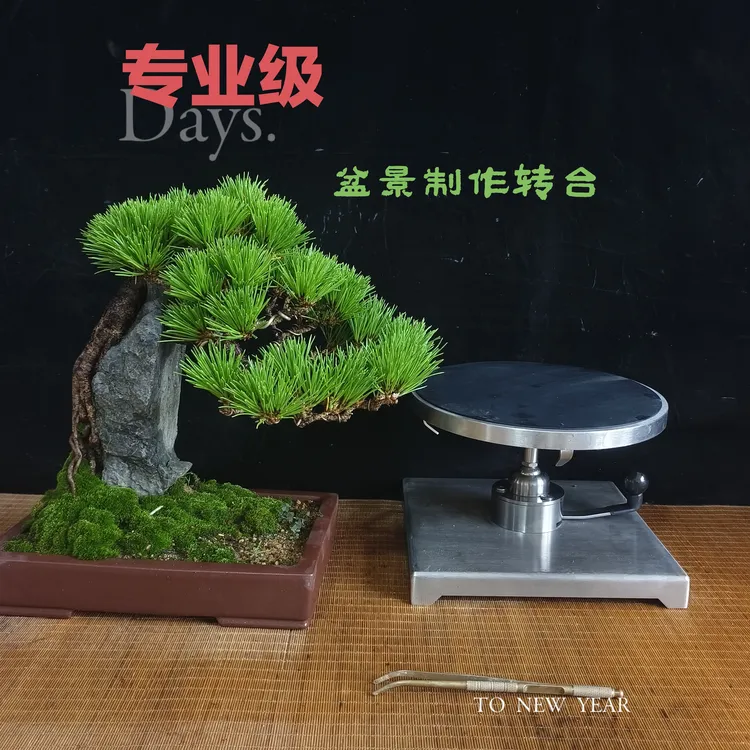 专业级盆景制作设备——万向阻尼转台。无惧风雨，全天候适用。
