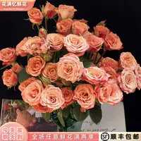 次日达 -【高级浪漫的卡布奇诺】10枝新品玫瑰鲜花鲜切花家居花发任意满两单顺丰包邮三单送花瓶今天拍明天到ee