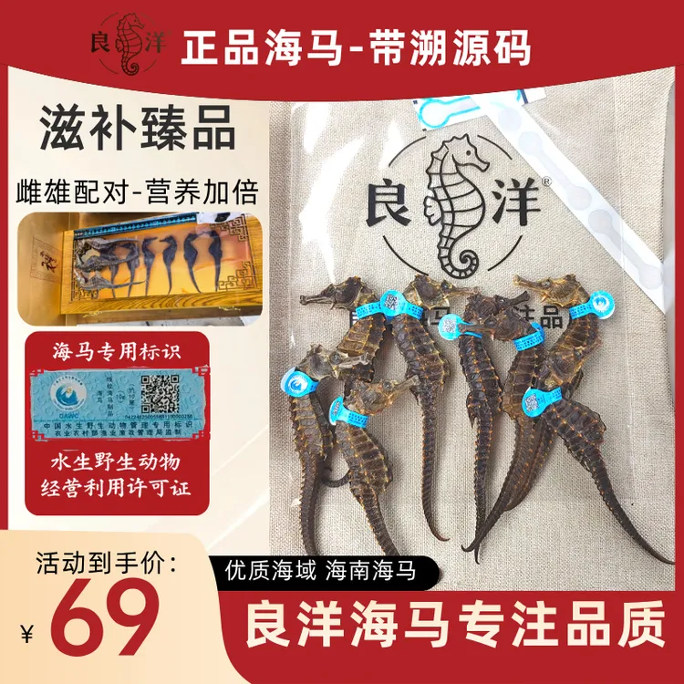 A级正品海马干货公母配对带溯源码足干煲汤泡酒专用