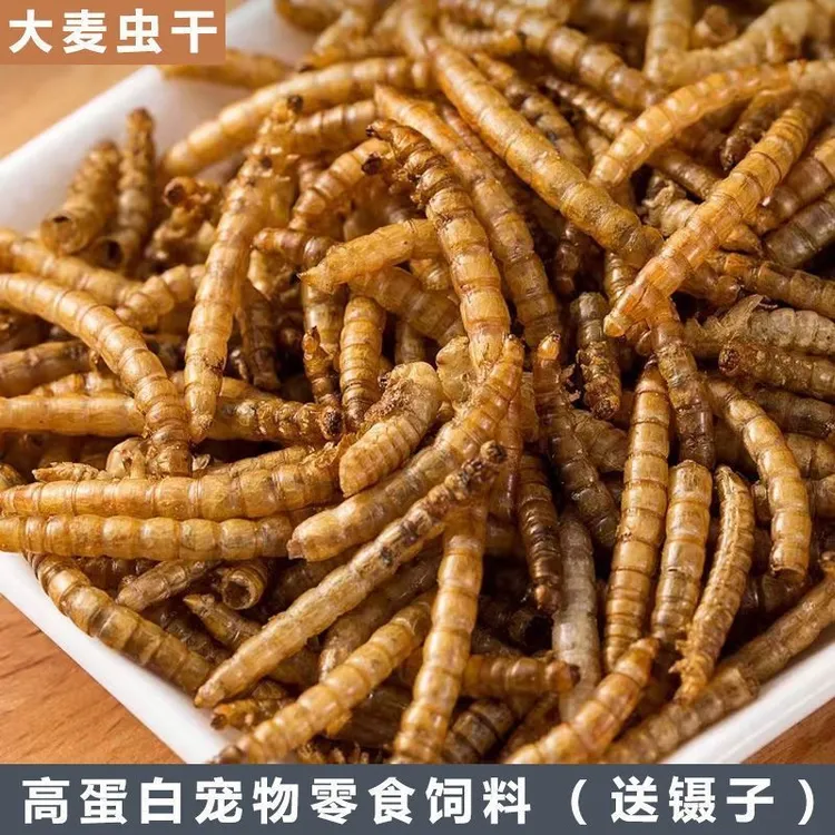面包虫干鸟粮高蛋白大麦虫烘干饲料龙鱼乌龟仓鼠营养必备大麦虫干