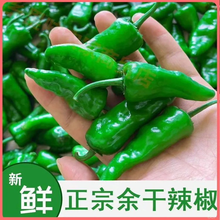 正宗余干辣椒新鲜特辣薄皮青椒爆辣农家自种辣椒土辣椒1/2/3/5斤