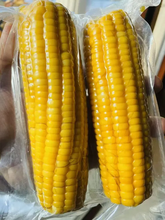 2025新六十黄玉米软糯香甜每根约14厘米左右
