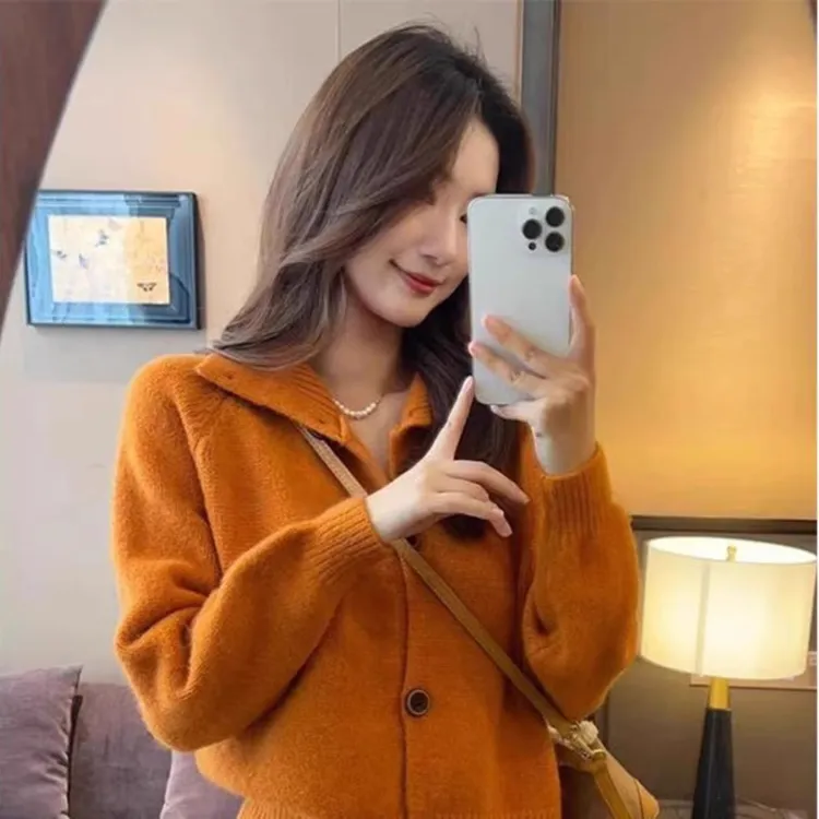 时尚减龄长袖毛衣女外套年秋冬季新款设计感小众翻领针织开衫