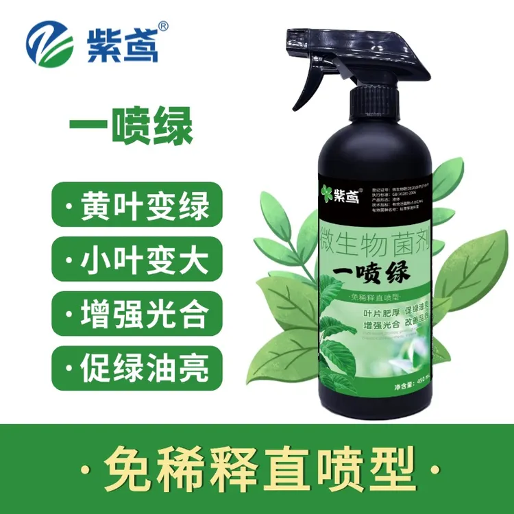 紫鸢绿植盆栽一喷绿叶绿素改善黄叶促进光合免稀释绿叶油亮