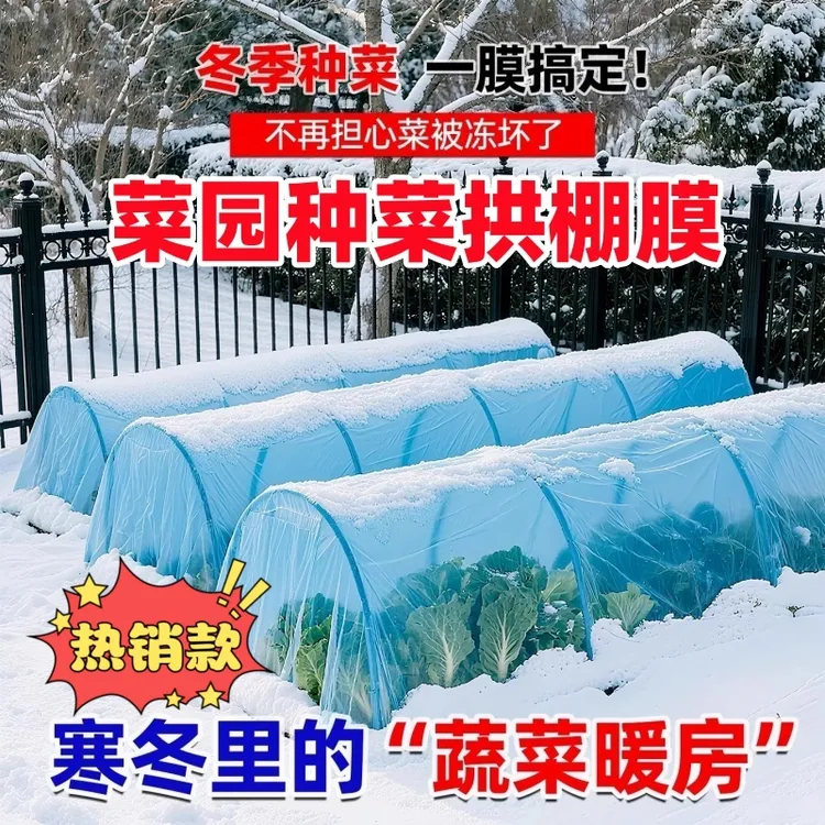 拱棚无滴膜种菜小拱棚专用膜菜园育苗膜蔬菜拱棚棚保温膜塑料布