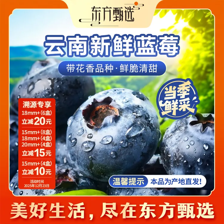 东方甄选自营云南蓝莓清甜细腻多汁当季新鲜水果时令生鲜坏果包赔