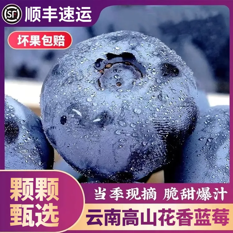 D1【顺丰京东】云南花香蓝莓新鲜现摘现发应季水果脆甜(100g/盒)