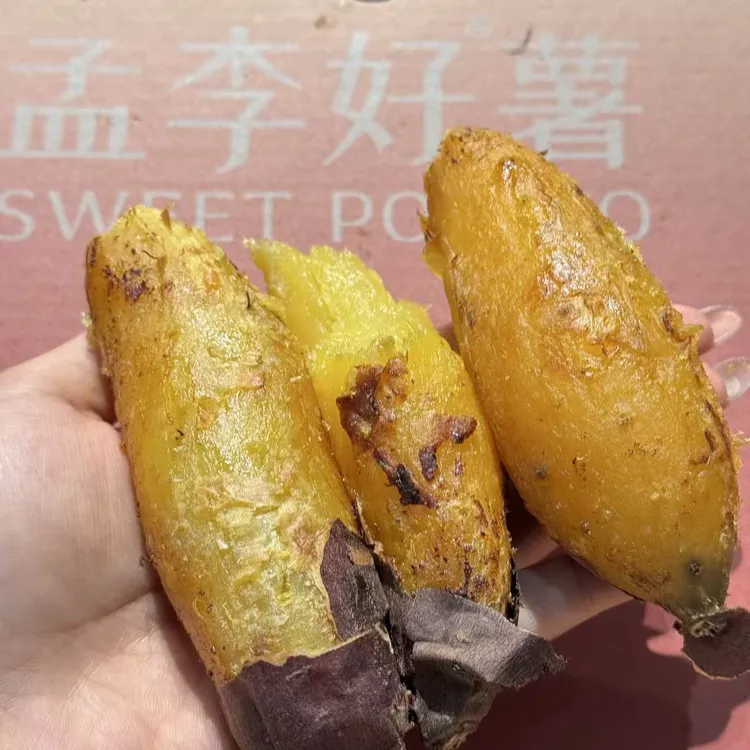 【蜜甜香糯】云南玛莎莉蜜薯莉妃红薯已糖化无丝烤地瓜礼盒顺丰