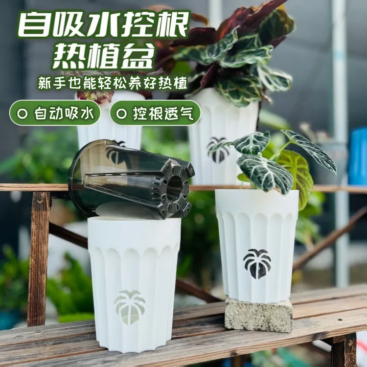 热植专用花盆蝴蝶兰专用盆花烛龟背竹套盆加厚控根透气自吸水套盆