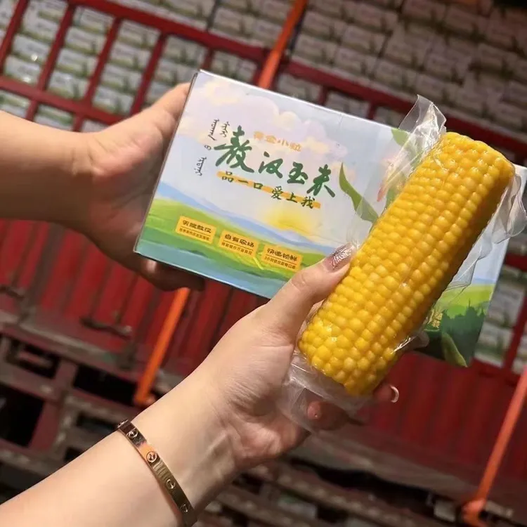 敖汉玉米正宗内蒙古甜糯玉米美蒙草原黄金小粒香糯独立爆款新日期