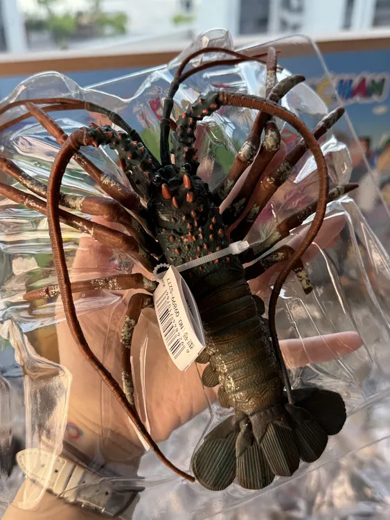 海洋生物、家禽、恐龙动物模型手办摆件仿真启蒙玩具