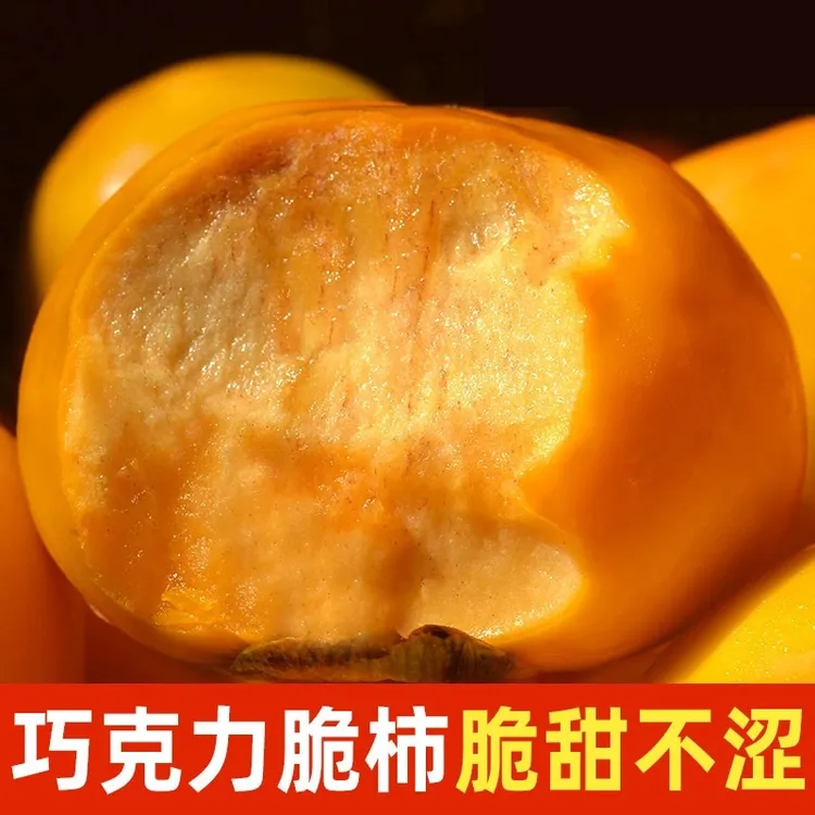 【脆甜不涩】广西桂林高山巧克力糖心脆柿子硬脆甜柿新鲜水果5-9斤