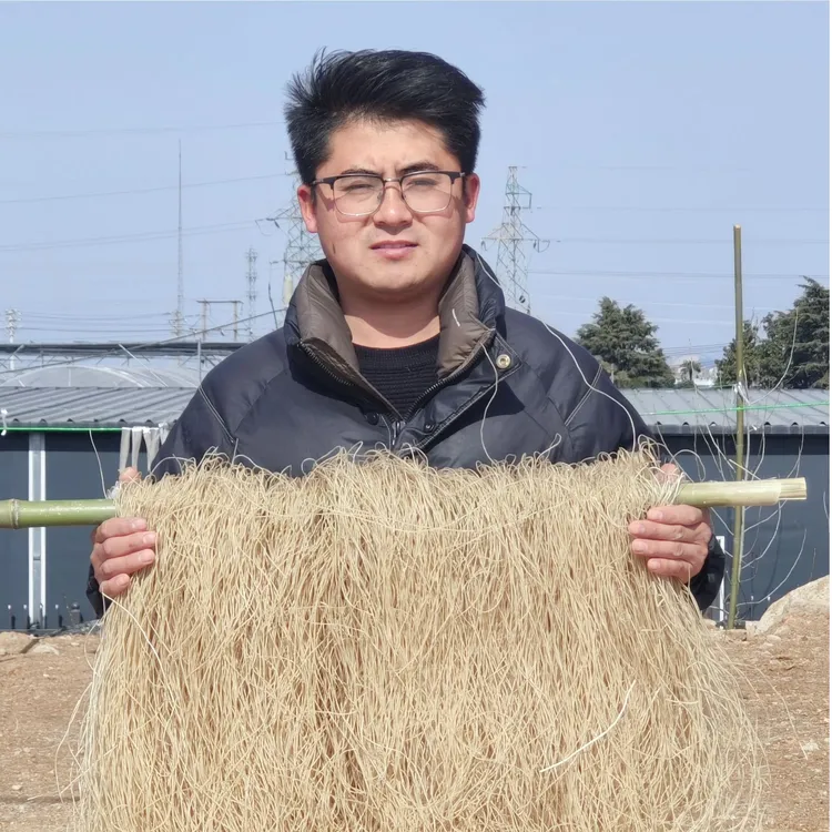 乡野马哥 农家纯手工红薯粉条 细粉