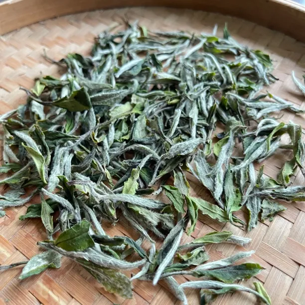 2025福鼎磻溪南广老李家一级白牡丹250克