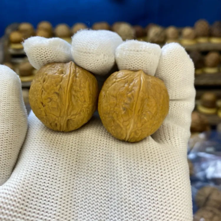 云南铁核桃散籽称斤批发 名铁按斤批