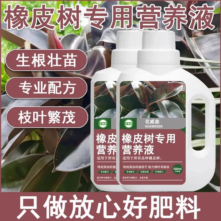 橡皮树营养液橡皮树专用肥四季常青黑金刚肥料室内室外盆栽有机肥