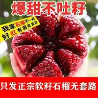 【6个装】DB正宗四川会理突尼斯软籽石榴新鲜采摘应季鲜果6枚