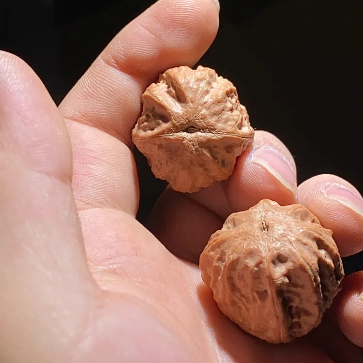 翻天印小核桃手捻小秋子手捻麦穗纹全品无瑕疵油性十足编号06