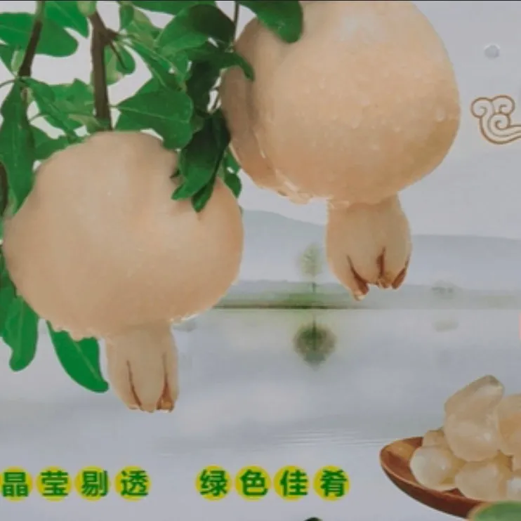 怀远白花玉石籽新鲜采摘地道老树（大果）石榴正宗石榴籽