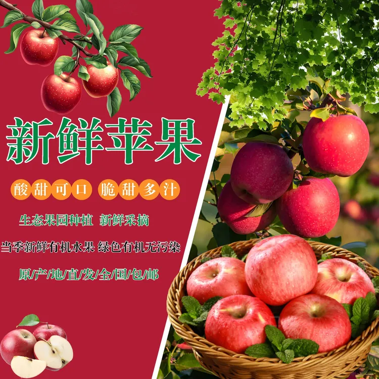 云南昭通丑苹果当季新鲜脆甜冰糖心红富士苹果现摘现发
