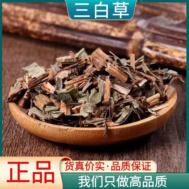 正宗三白草精选白花莲500g-1000g白舌骨塘边藕新鲜干货叶菜包邮