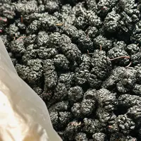 黑桑葚广东煲汤汤料11