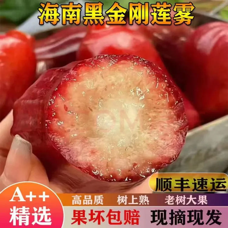 （空运包邮）精选海南黑金刚莲雾果树上熟新鲜水果清甜水果夏日水果
