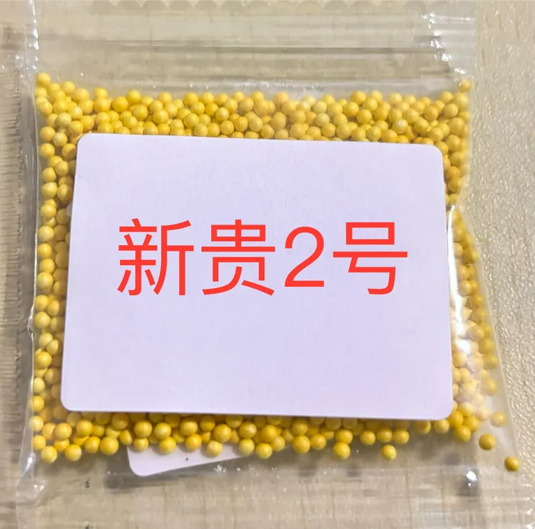 新贵二号丸粒化颗粒品种适合海拔2400以下产量高抗性强WH
