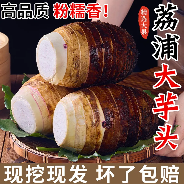 全爸农产品广西荔浦芋头特产新鲜现挖芋头软糯香甜粉香可口