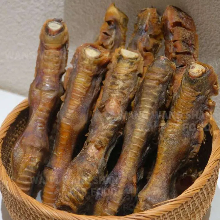 大狗专享恐龙(鸵鸟)巨脚 磨牙洁齿消耗精力