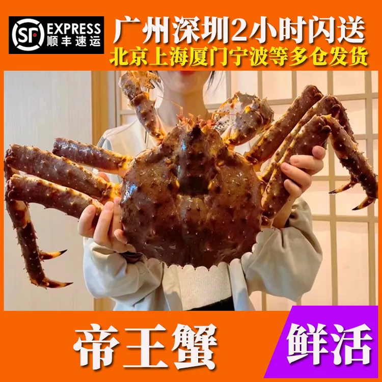 鲜活帝王蟹俄罗斯海鲜水产蜘蛛皇帝阿拉斯加长腿脚特超大螃蟹