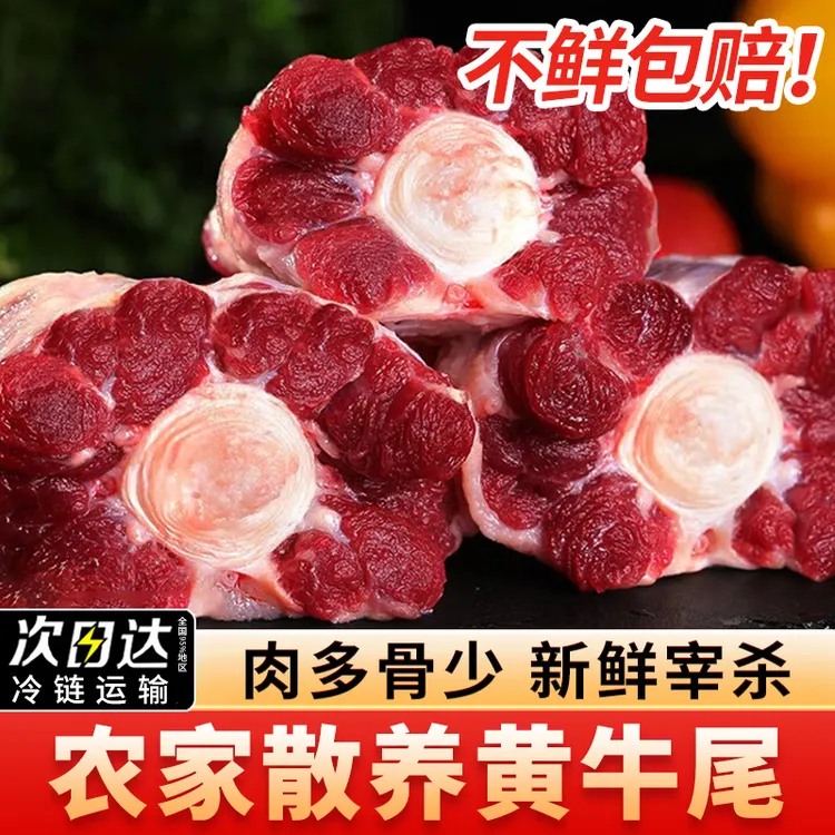 牛尾骨新鲜现杀牛尾散养牛尾巴鲜牛尾骨黄牛肉牛尾冷冻保鲜