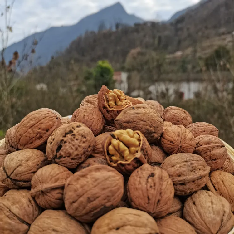 陕西商洛山核桃坚果零食新果特产