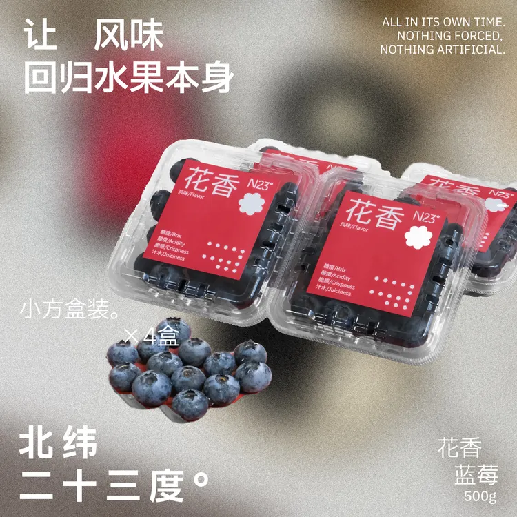 【小团子专属】北纬二十三度®云南蓝莓「花香」风味【现摘现发·小方盒装】
