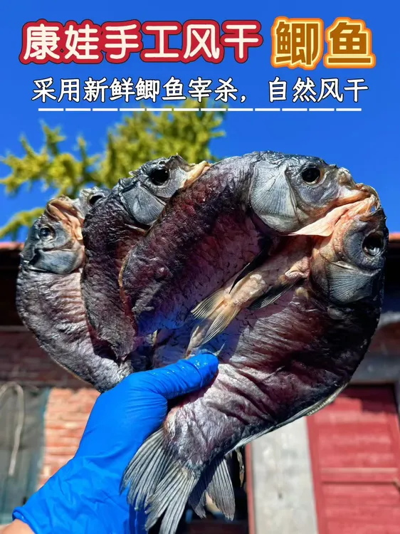 湖北特色开背阳干鲫鱼6-8成干  中号