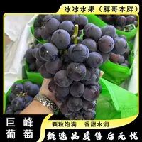 【散装】[Z]巨峰葡萄 份/净重4斤左右 仅限太原晋中吕梁忻州可拍